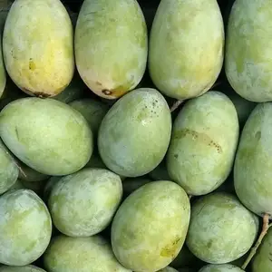 माल्दा आप